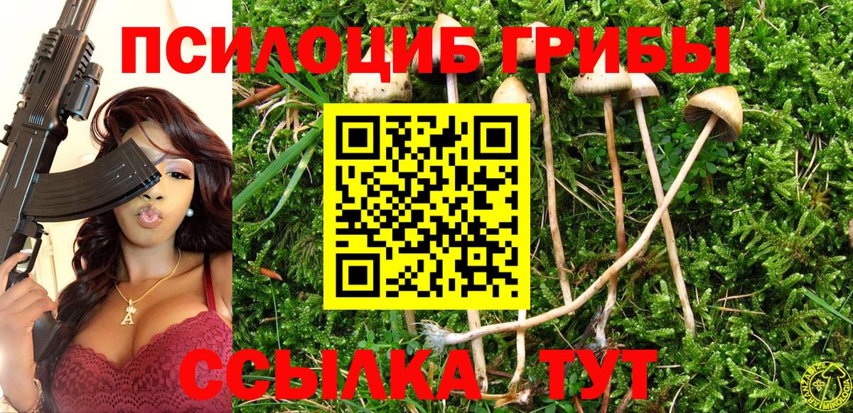 Галлюциногенные грибы Magic Shrooms Зеленокумск