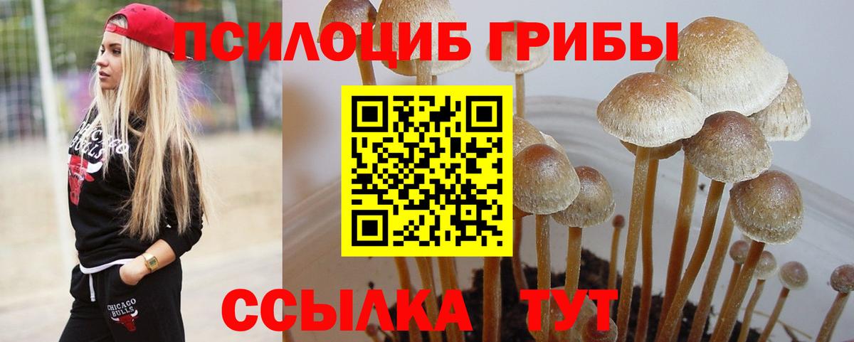 Псилоцибиновые грибы MAGIC MUSHROOMS  Вход с VPN  Галлюциногенные грибы мухоморы  Зеленокумск 